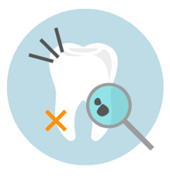dentaltorello_56